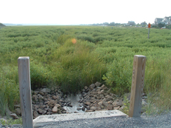 Foster Road DOWNSTREAM