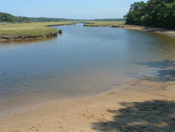 Game Farm Beach UPSTREAM