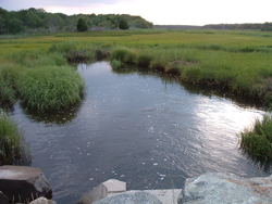 Jones Lane DOWNSTREAM