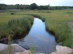 Jones Lane UPSTREAM