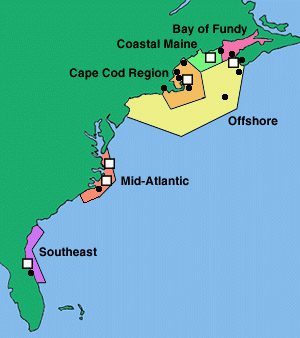 Atlantic Coast Network black circles represent first response kits; white squares represent full rescue caches