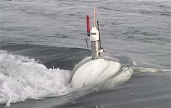Custom made tag buoy as it is towed; note antenae for VHF (short range) and satellite (long range) 