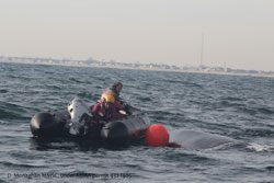 Juvenile humpback whale freed from a potentially life threatening entanglement in fishing gear in the waters off NJ by members of the Center for Coastal Studies Marine Animal Entanglement Response team (CCS MAER). Photos by Danielle Monaghan of the Marine Mammal Stranding Center (MMSC) under NOAA permit 932-1905. 