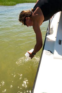 Amy Costa, PhD, director of the CCS Water Quality Monitoring program, collects water samples for laboratory analysis. CCS image.