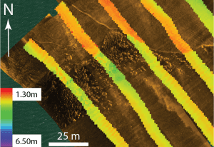 Phase-measuring sidescan sonar. Image showing bathymetry (submarine topography) overlaying backscatter imagery. Without bathymetric data this could have been misinterpreted as eelgrass growing northeastward into featureless seafloor. Eelgrass bed is being buried by southwestward migrating sand sheet.