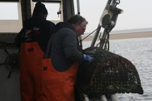 Local fishermen collaborate with CCS to retrieve derelict fishing gear. 