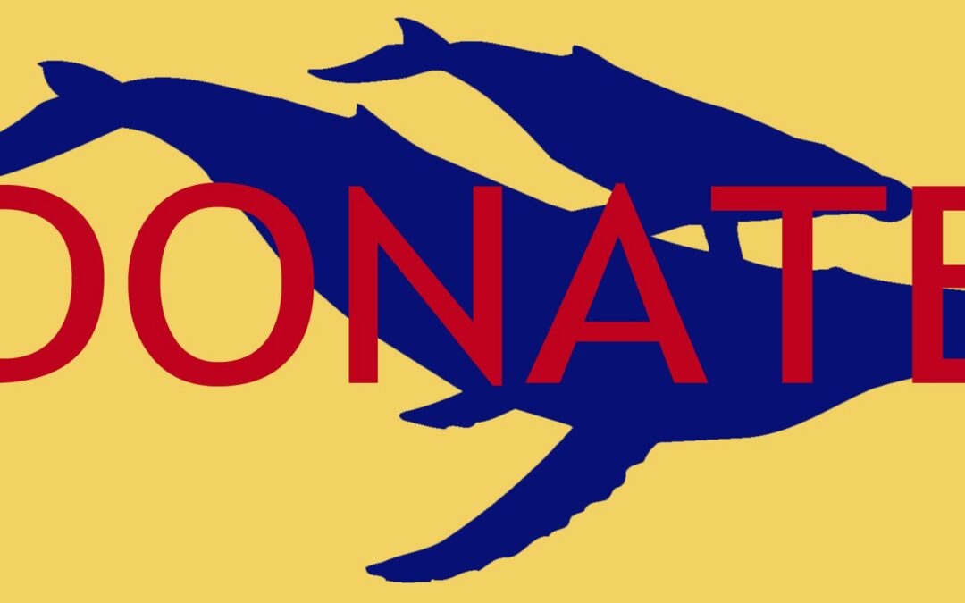 New PCCS Logo PMS 2935-3145 Adobe RGB conversion