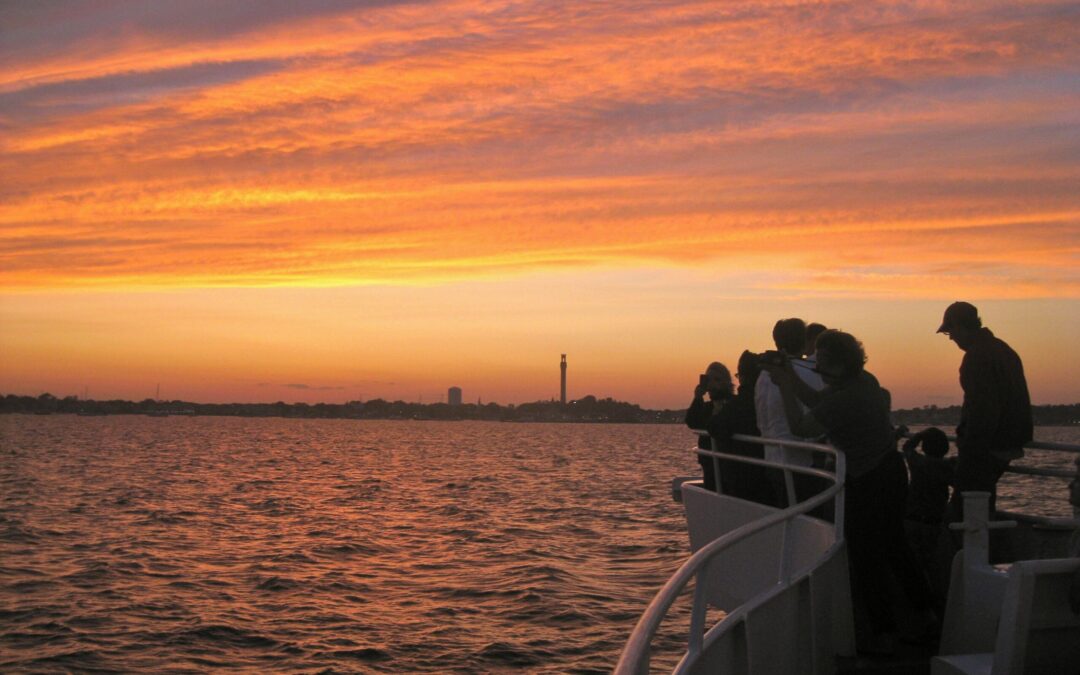Sunset whale watch 2012