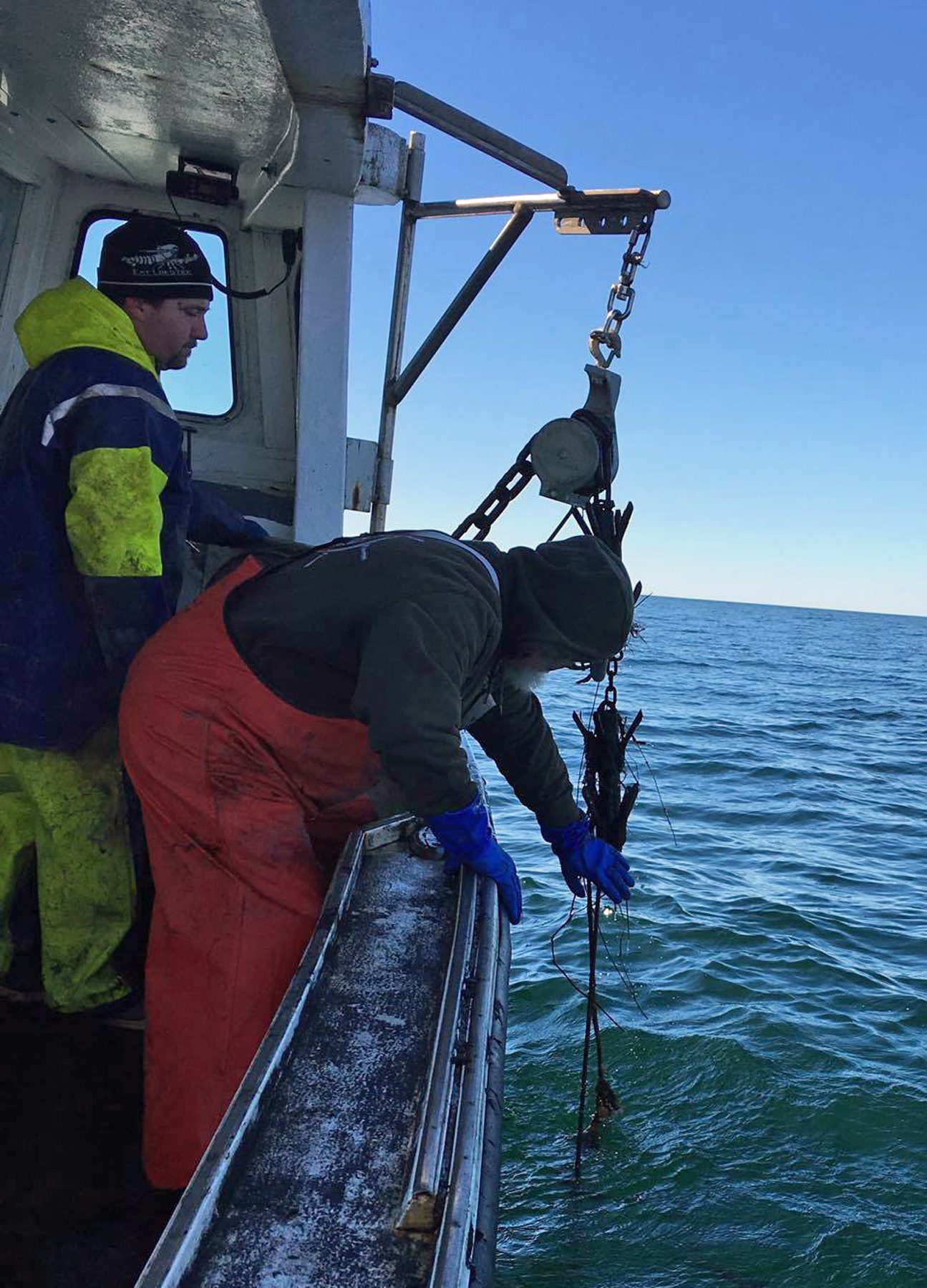 Fishing Gear Recovery Project Commences in Cape Cod Bay