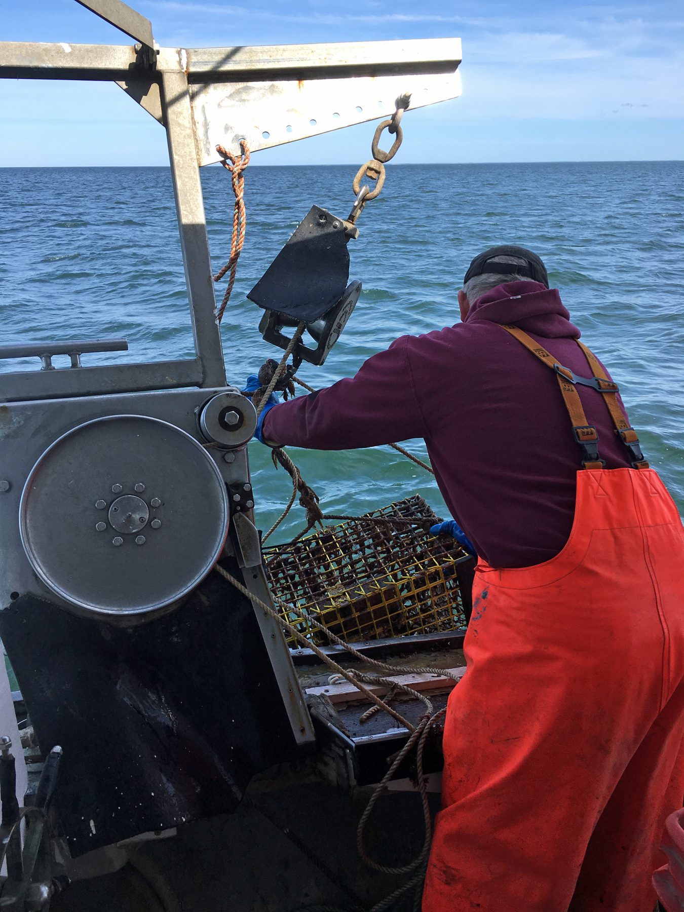 Fishing Gear Recovery Project Commences in Cape Cod Bay