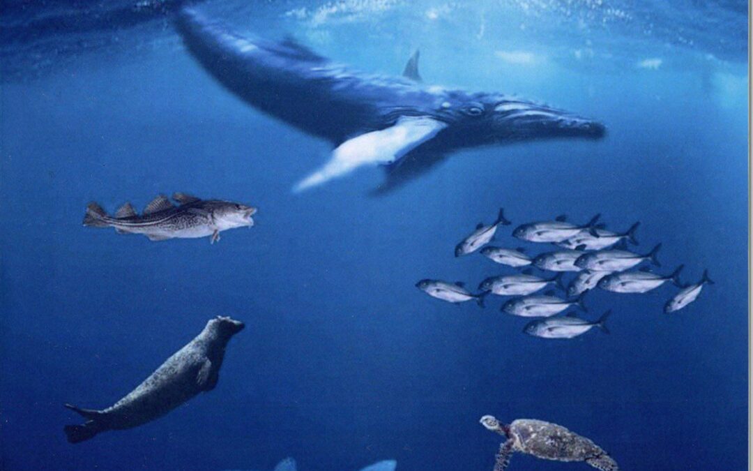 Microsoft Word – Swirling Currents front cov auth pic-revised 9-