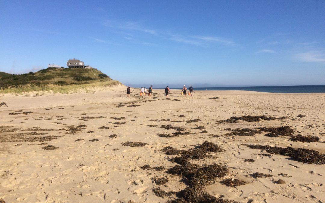 Fourth Annual Outer Cape Beach Clean Up a Major Success