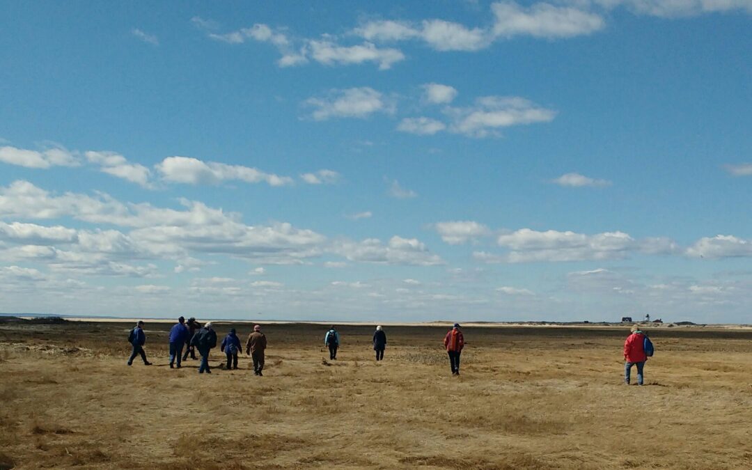 Hatches Harbor Hike, Lisaa Sette