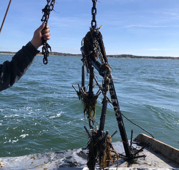 Day 1-6 grapples with weight