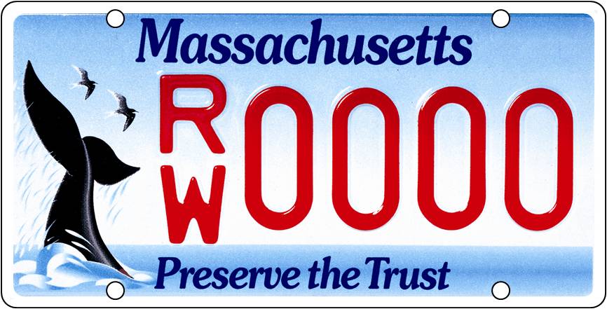 CCS Receives Massachusetts Environmental Trust Grants for Whale and Sea Turtle Research and Conservation