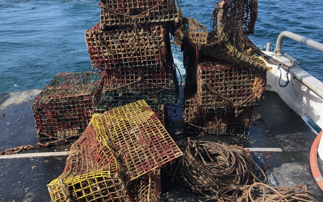 Fishing Gear Recovery Project Resumes in Cape Cod Bay