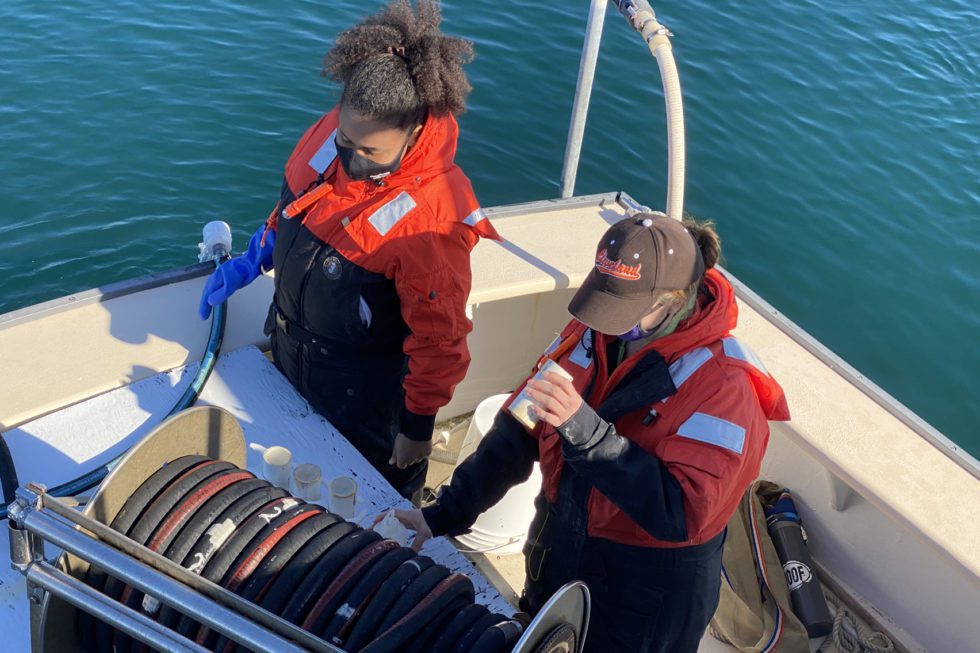 Center for Coastal Studies Research, rescue and education since 1976