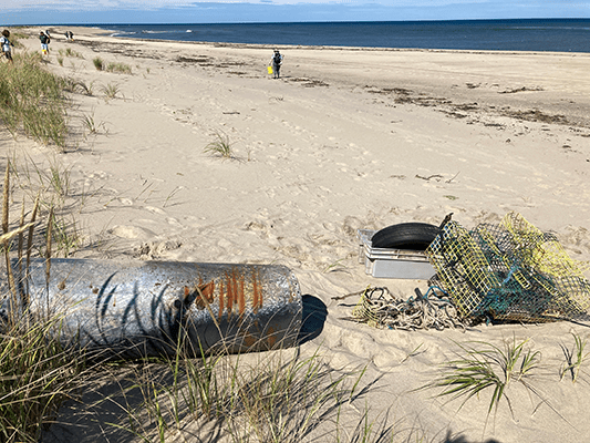 Center for Coastal Studies and Cape Cod National Seashore Announce Marine Debris Opportunity for Artists