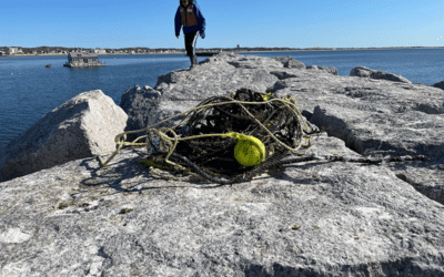 Spring Projects Remove Tons of Marine Debris From Cape Cod Shoreline
