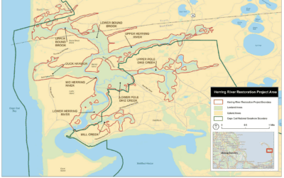 Duck Harbor flooding provides rare opportunity for tidal marsh research