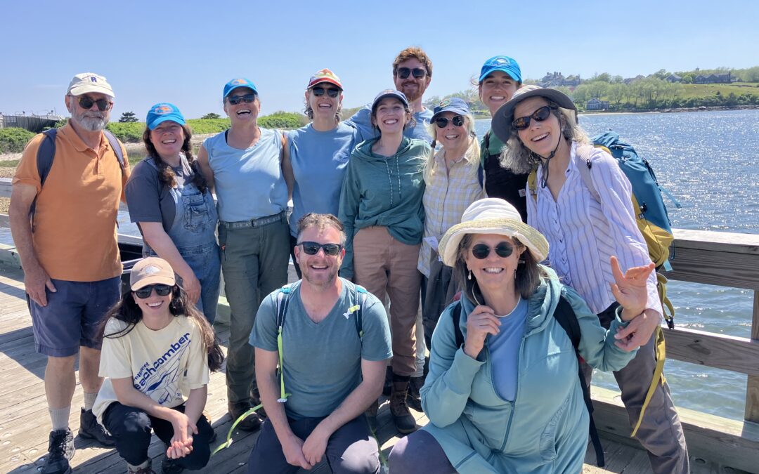 Hundreds More Lobster Traps Removed From Massachusetts Island