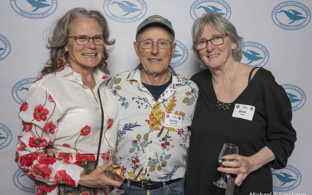 Stormy Sendoff Celebration LR-29