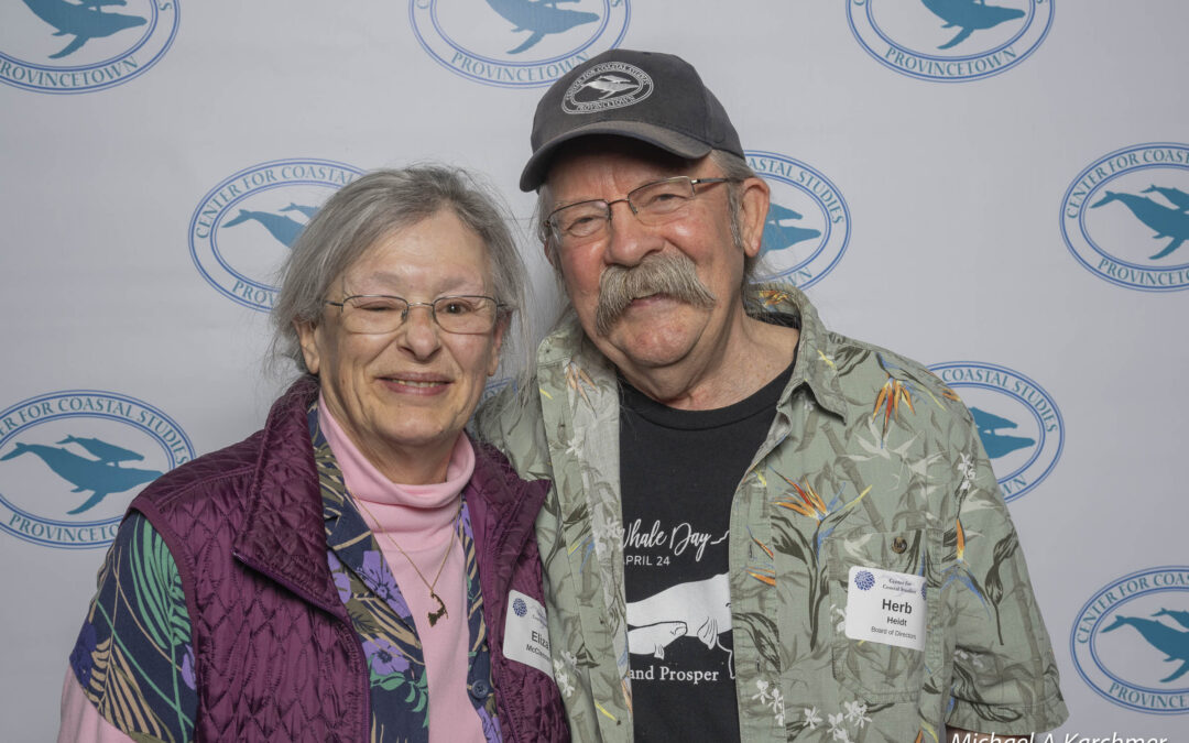 Stormy Sendoff Celebration LR-33