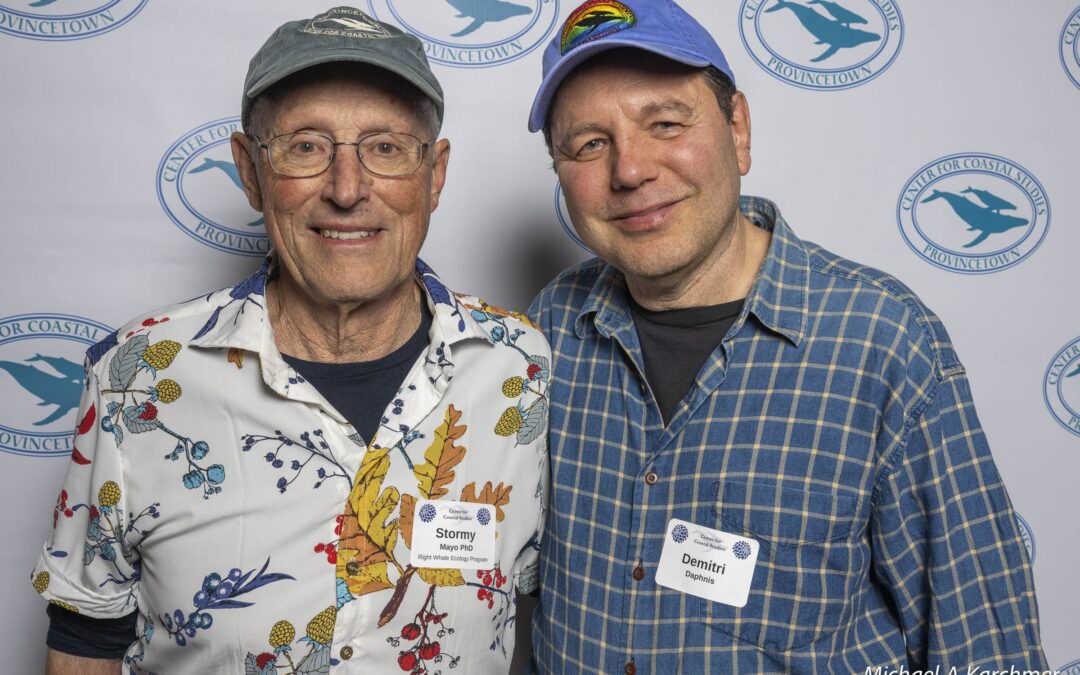 Stormy Sendoff Celebration LR-39