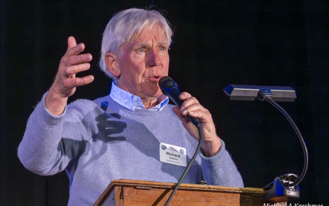 Stormy Sendoff Celebration LR-64