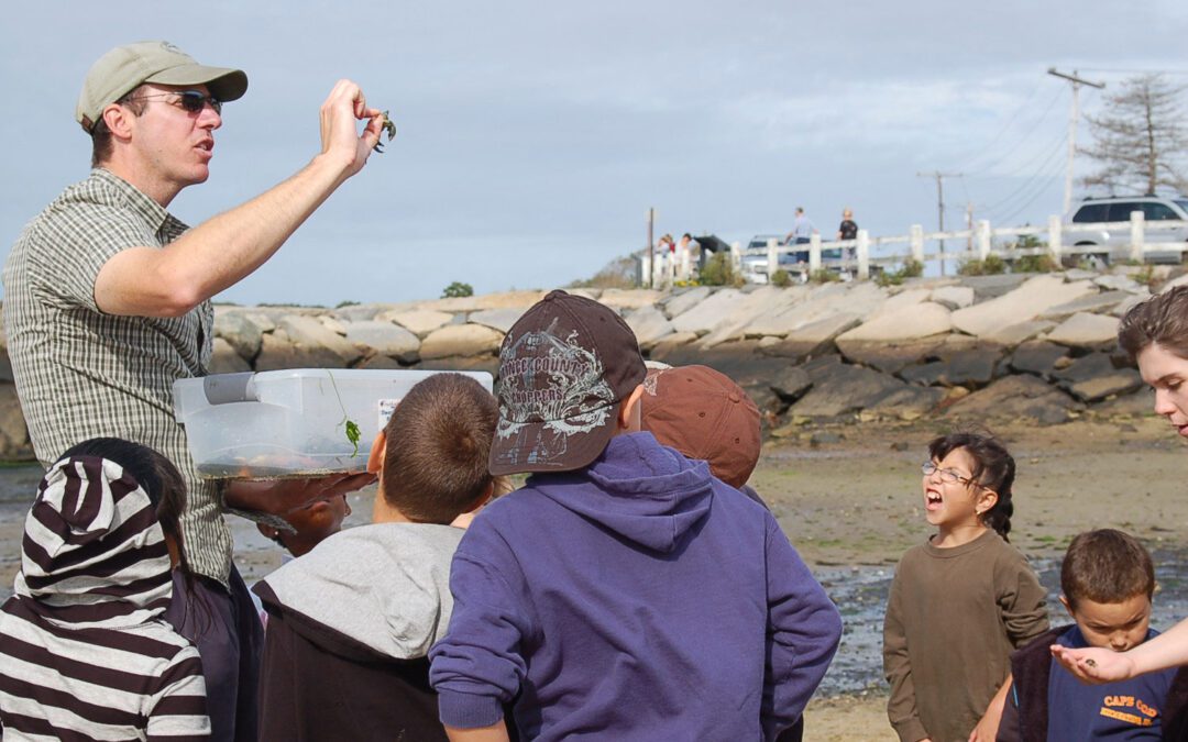 Center for Coastal Studies to Offer Summer Educational Programs