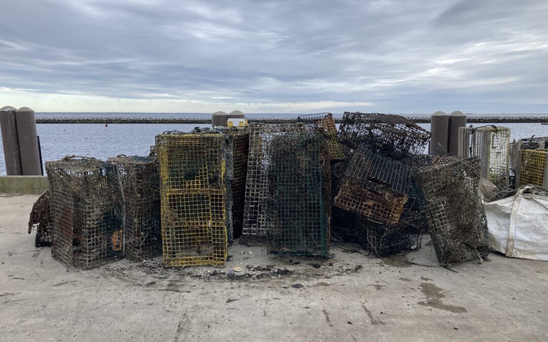Center for Coastal Studies Announces Ghost Gear Removal Program for 2025