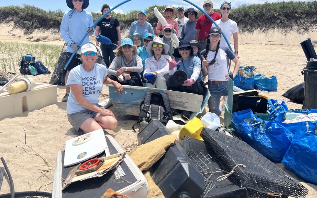 Three Marine Debris Events Scheduled for World Ocean Day 2025 in Provincetown