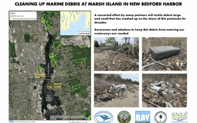 Center for Coastal Studies Announces October-November 2025 Marine Debris Activities
