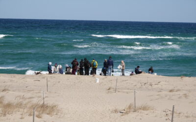 Center for Coastal Studies to Host Cornell University Students for Marine Debris Residency