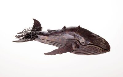 In Nexus of Art and Science, PAAM Exhibition Celebrates 50 Years of Research at Center for Coastal Studies