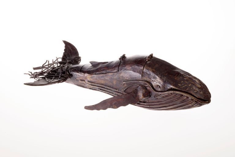 In Nexus of Art and Science, PAAM Exhibition Celebrates 50 Years of Research at Center for Coastal Studies