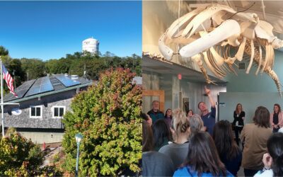 Center for Coastal Studies to Host Open House Celebrating 50 Years of Science that Matters