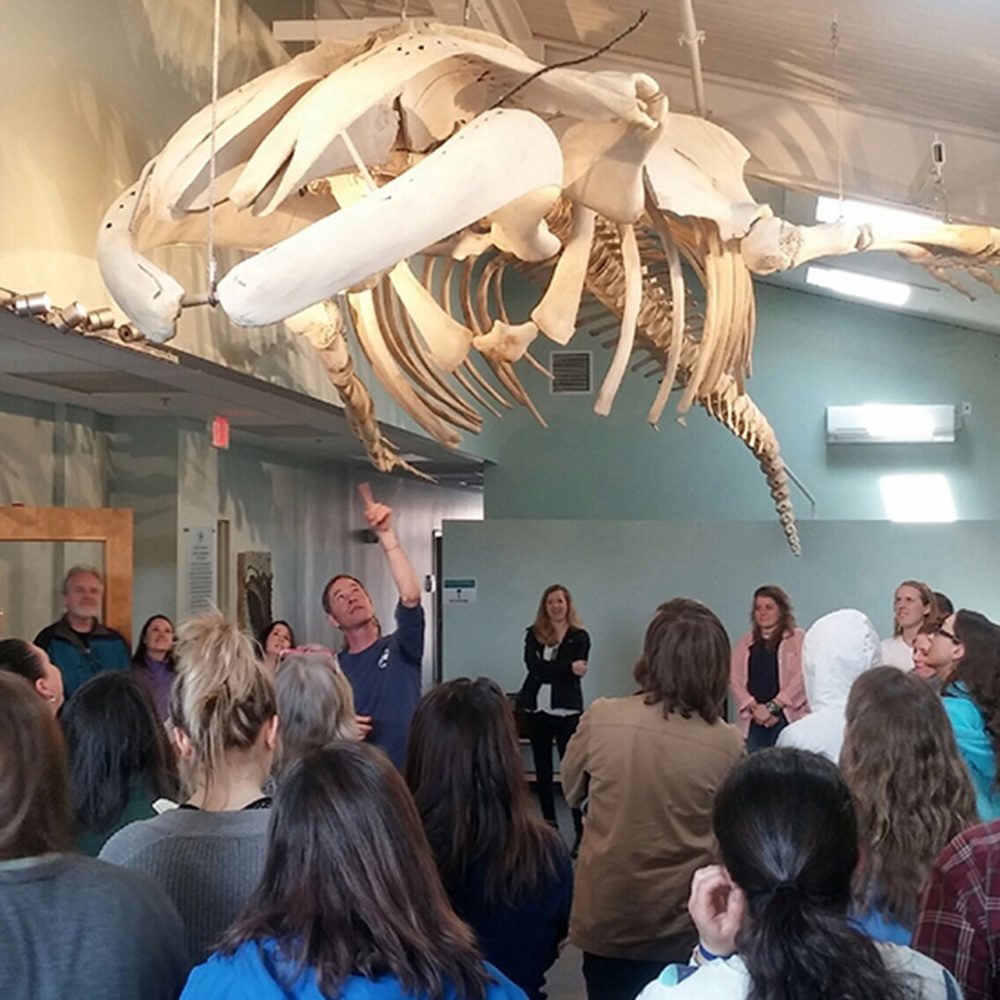Spinnaker: 50th Anniversary Open House