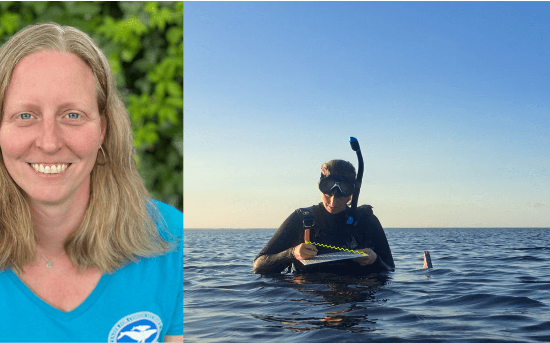Dr. Agnes Mittermayr Joins UN Team to Address Seagrass Conservation