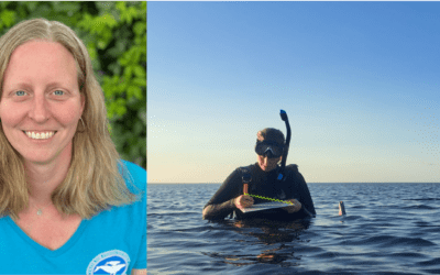 Dr. Agnes Mittermayr Joins UN Team to Address Seagrass Conservation