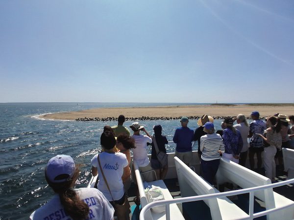 Seal Haul Out: Science in the Harbor Cruise