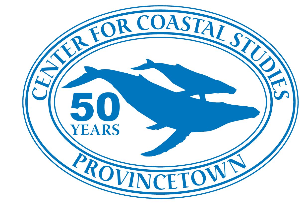 Center for Coastal Studies Disentangles Humpback Whale off Rockport, MA